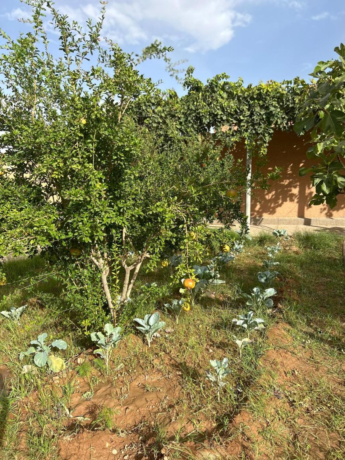 Kasbah Des Merveilles Dades Villa El Hart Exterior photo